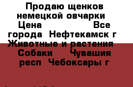 Продаю щенков немецкой овчарки › Цена ­ 5000-6000 - Все города, Нефтекамск г. Животные и растения » Собаки   . Чувашия респ.,Чебоксары г.